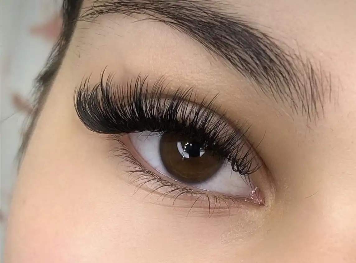 lashes2